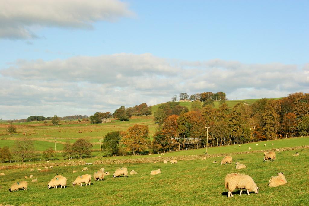 Grisdale View Villa Penrith Exterior photo